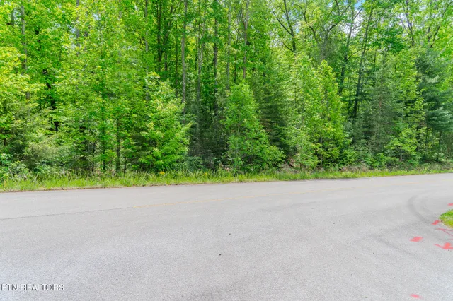 $84,800 | Lot 34 Long Rifle Road, Walland, TN 37886