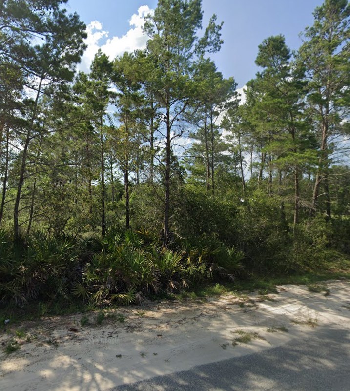 208 Woodill Road Carrabelle, FL 32322 - Photo 3 of 18 Gallery Image 3