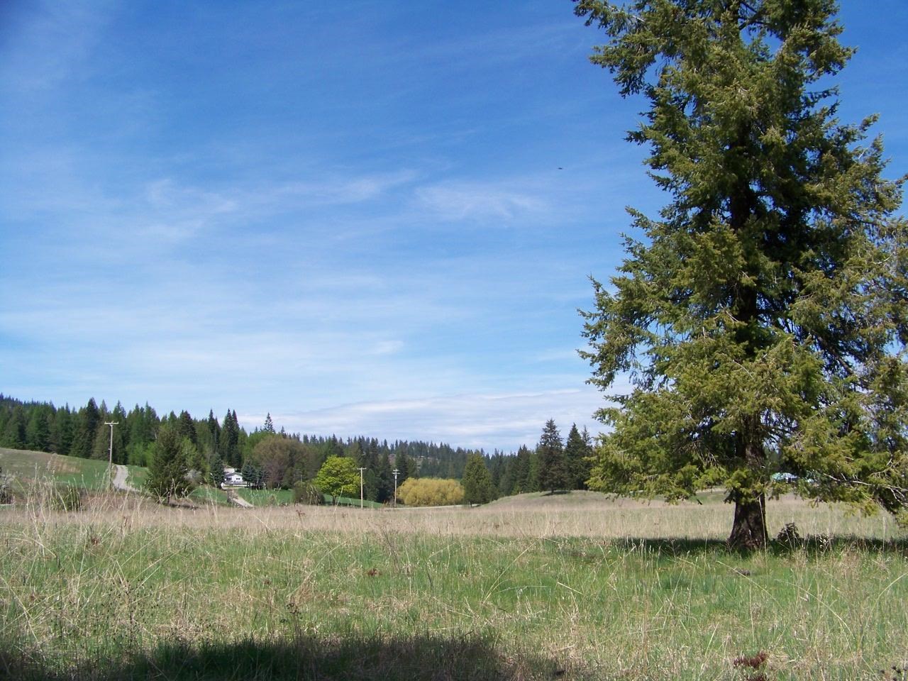 L2 Spring Valley Road Newport, WA 99156 - Photo 1 of 14 Gallery Image 1