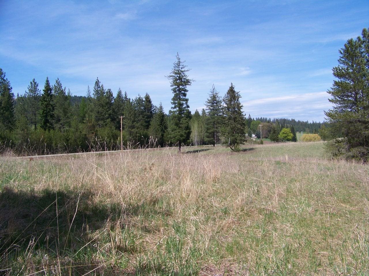 L2 Spring Valley Road Newport, WA 99156 - Photo 5 of 14 Gallery Image 5