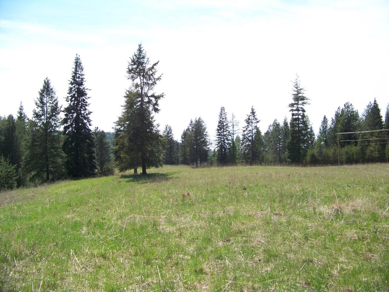 L2 Spring Valley Road Newport, WA 99156 - Photo 9 of 14 Gallery Image 9