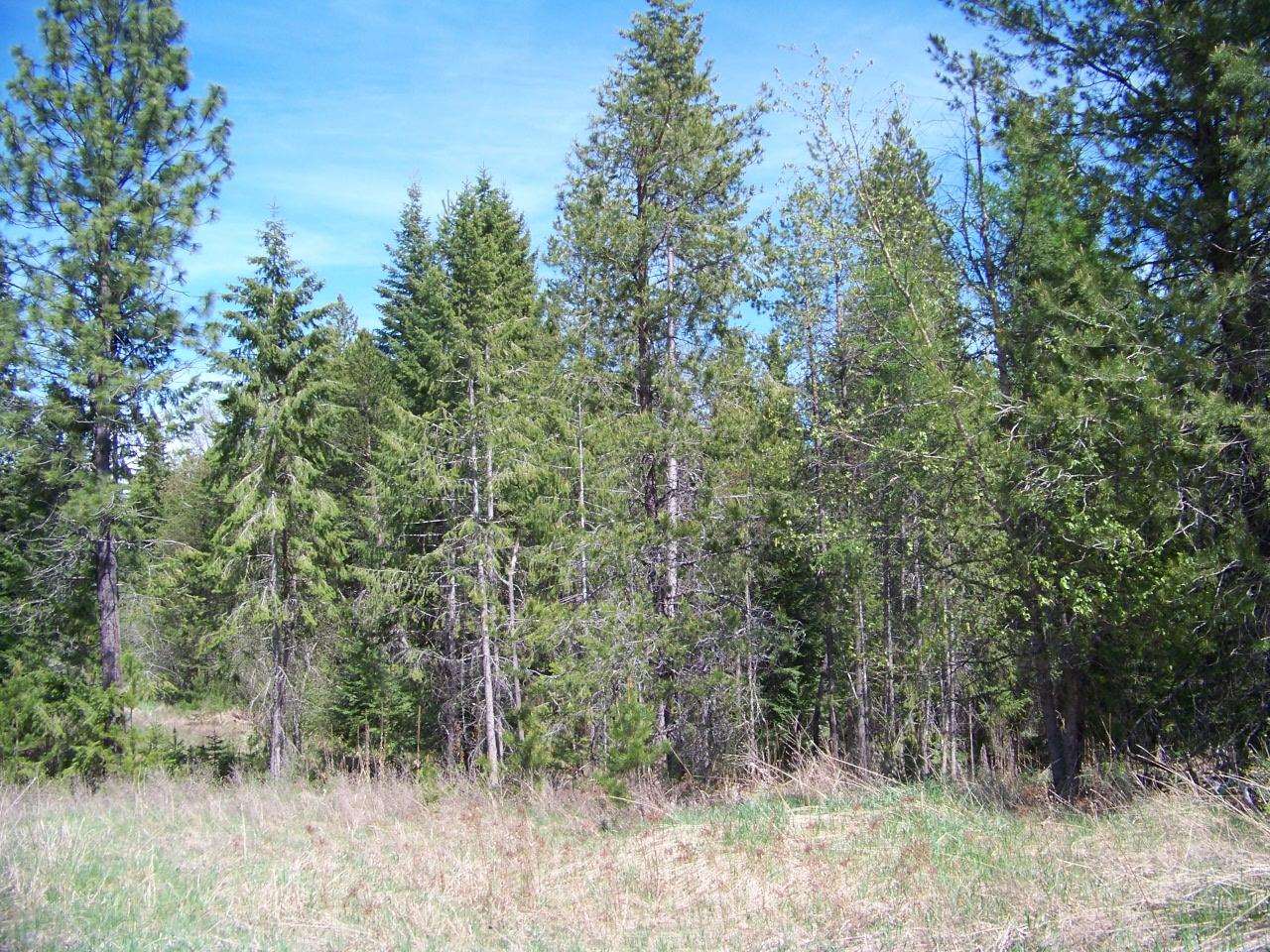 L2 Spring Valley Road Newport, WA 99156 - Photo 10 of 14 Gallery Image 10