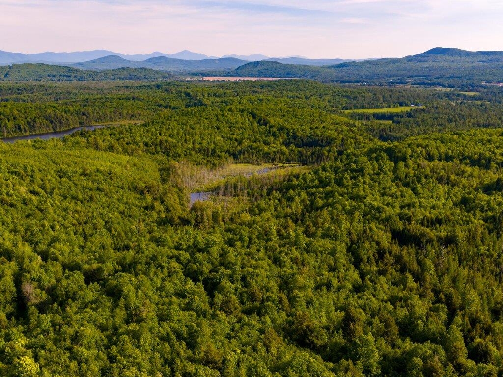 3180 Bear Hill Road, Unit 1 Guildhall, VT 05905 - Photo 4 of 16