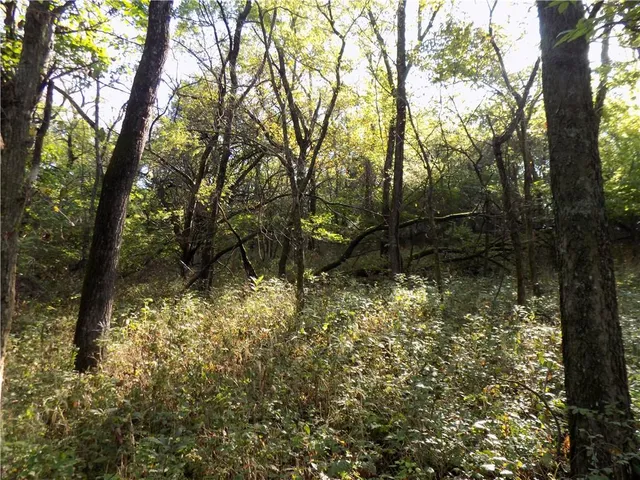 $495,000 | 1392 Rock Creek Road, Williamsburg, KS 66095