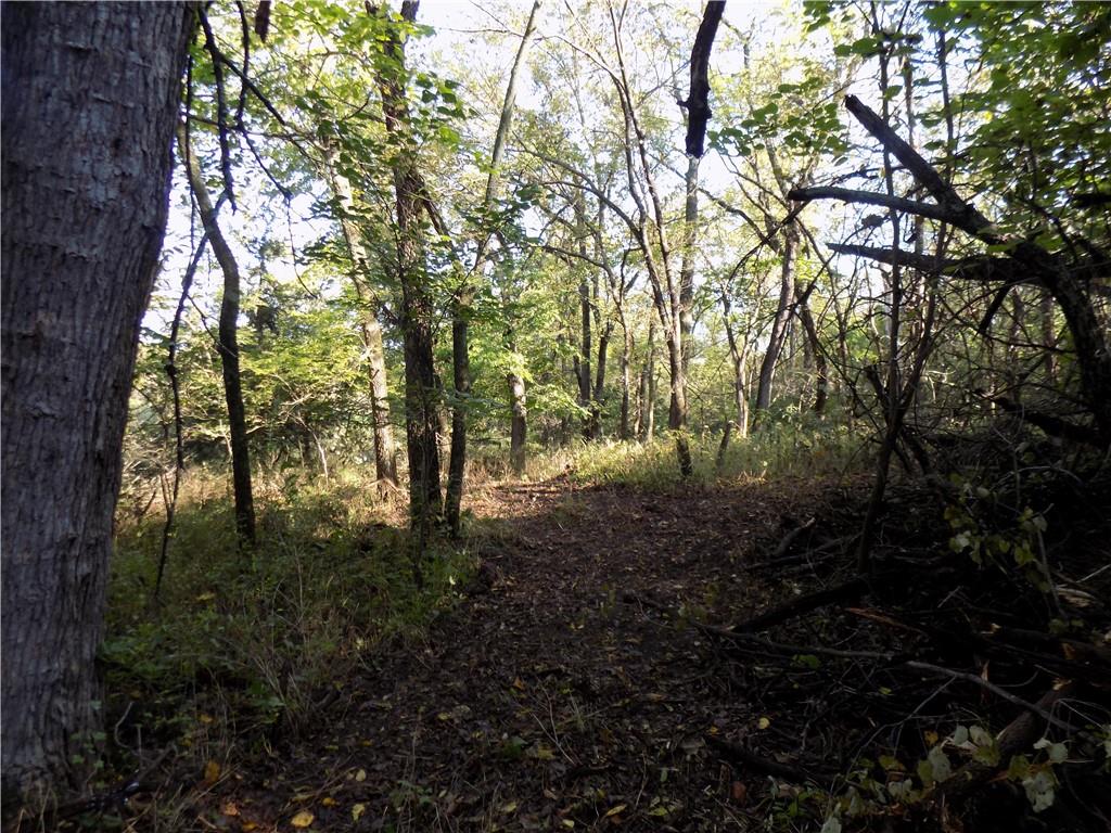 1392 Rock Creek Road Williamsburg, KS 66095 - Photo 13 of 62