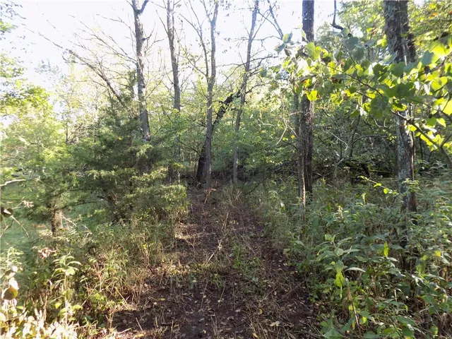 $495,000 | 1392 Rock Creek Road, Williamsburg, KS 66095