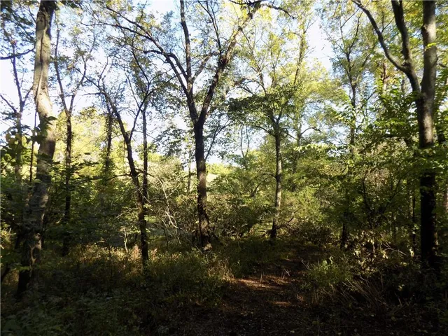 $495,000 | 1392 Rock Creek Road, Williamsburg, KS 66095