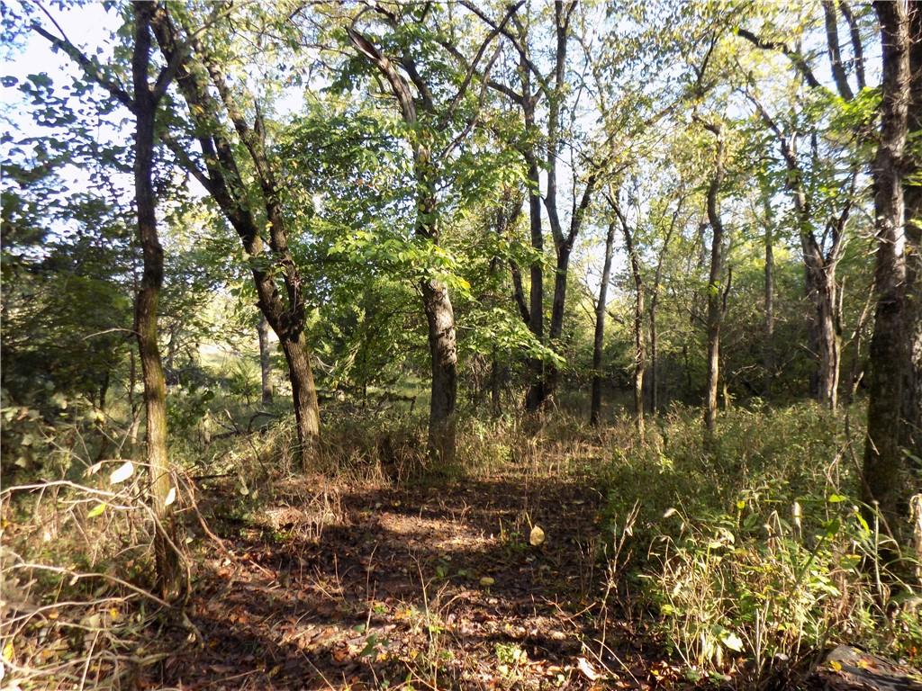 1392 Rock Creek Road Williamsburg, KS 66095 - Photo 7 of 62