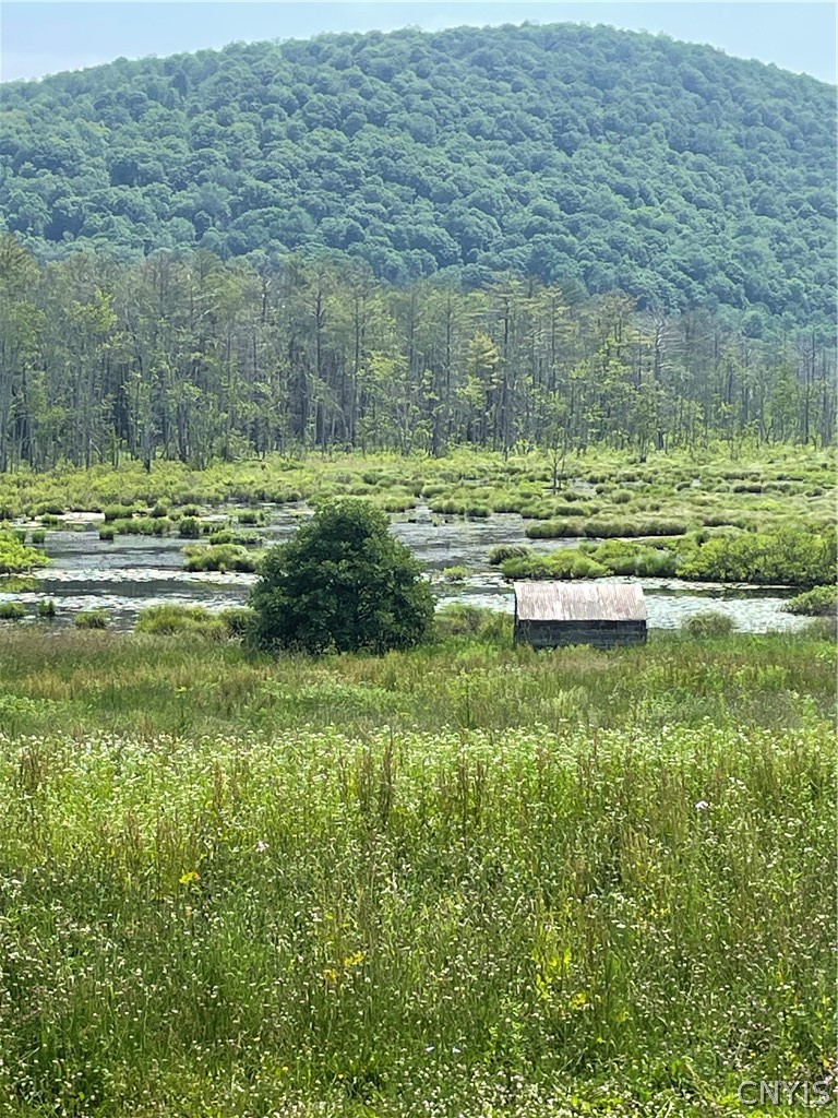 5140 North North Tower Road Truxton, NY 13158 - Photo 7 of 18