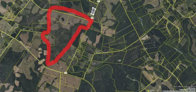 $2,500,000 | 0 Blewer Street, Cope, SC 29038