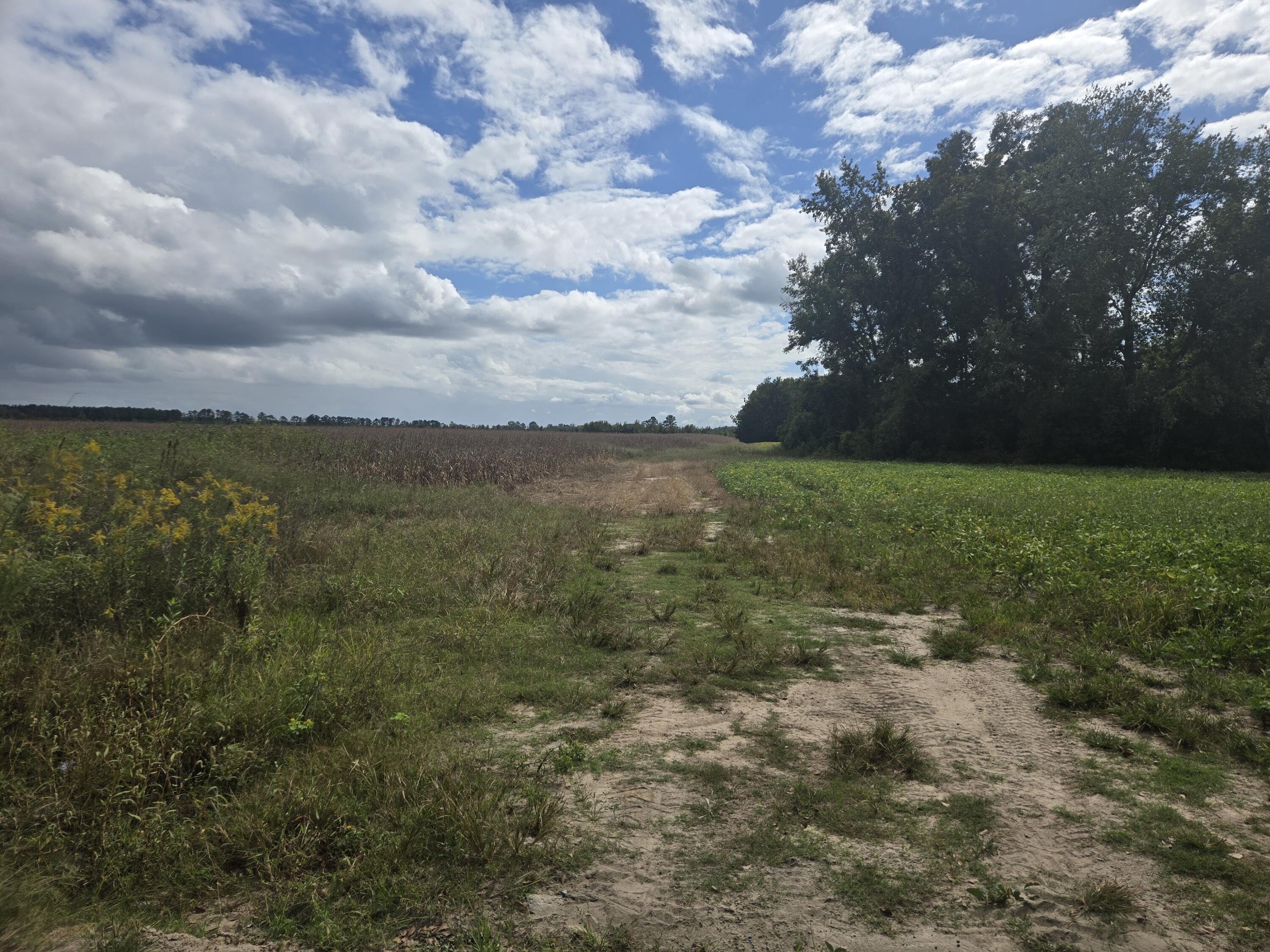 0 Blewer Street Cope, SC 29038 - Photo 11 of 15 20251007_142805