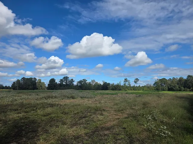 $2,500,000 | 0 Blewer Street, Cope, SC 29038