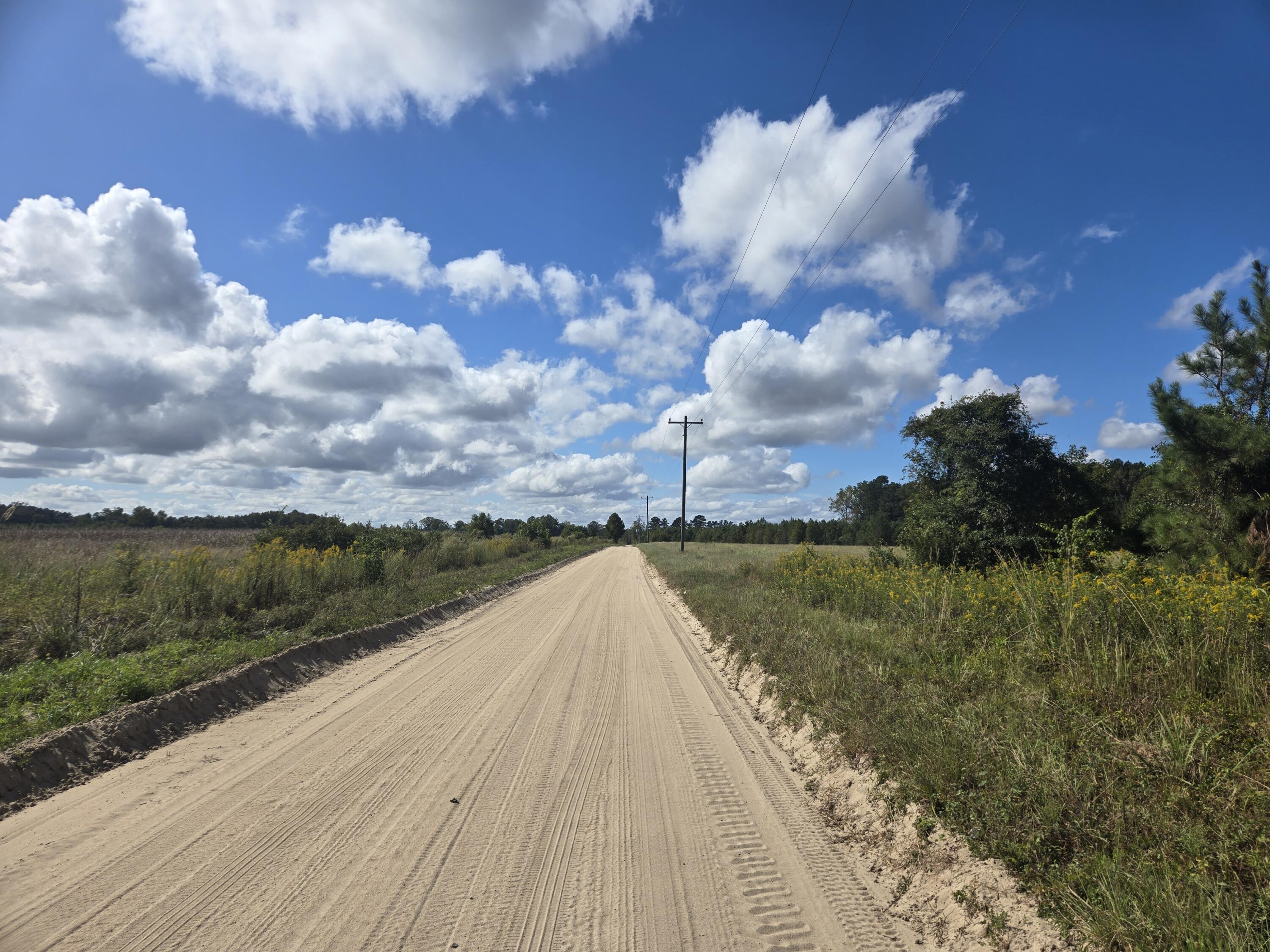 0 Blewer Street Cope, SC 29038 - Photo 13 of 15 20251007_145427