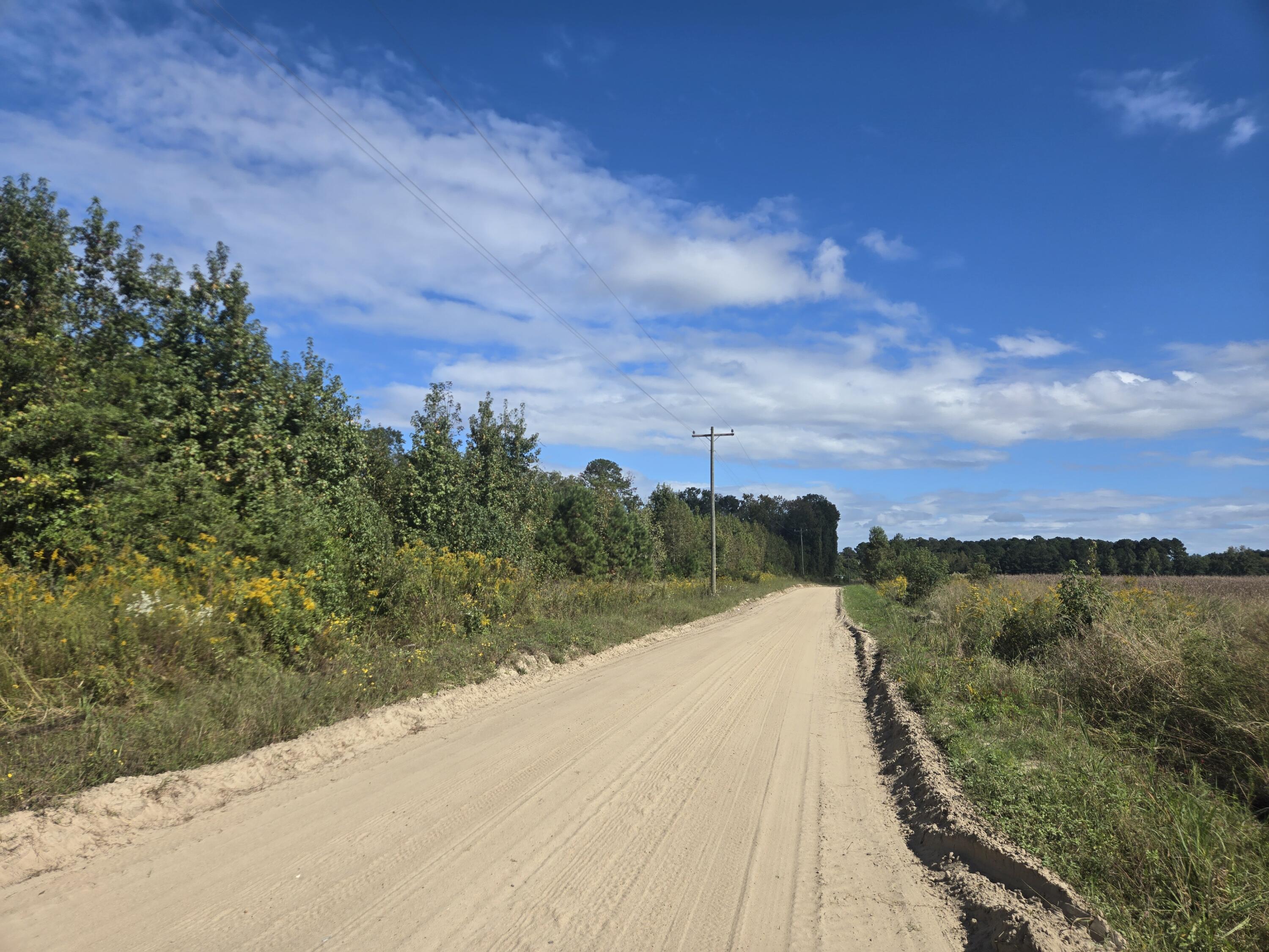 0 Blewer Street Cope, SC 29038 - Photo 14 of 15 20251007_145446