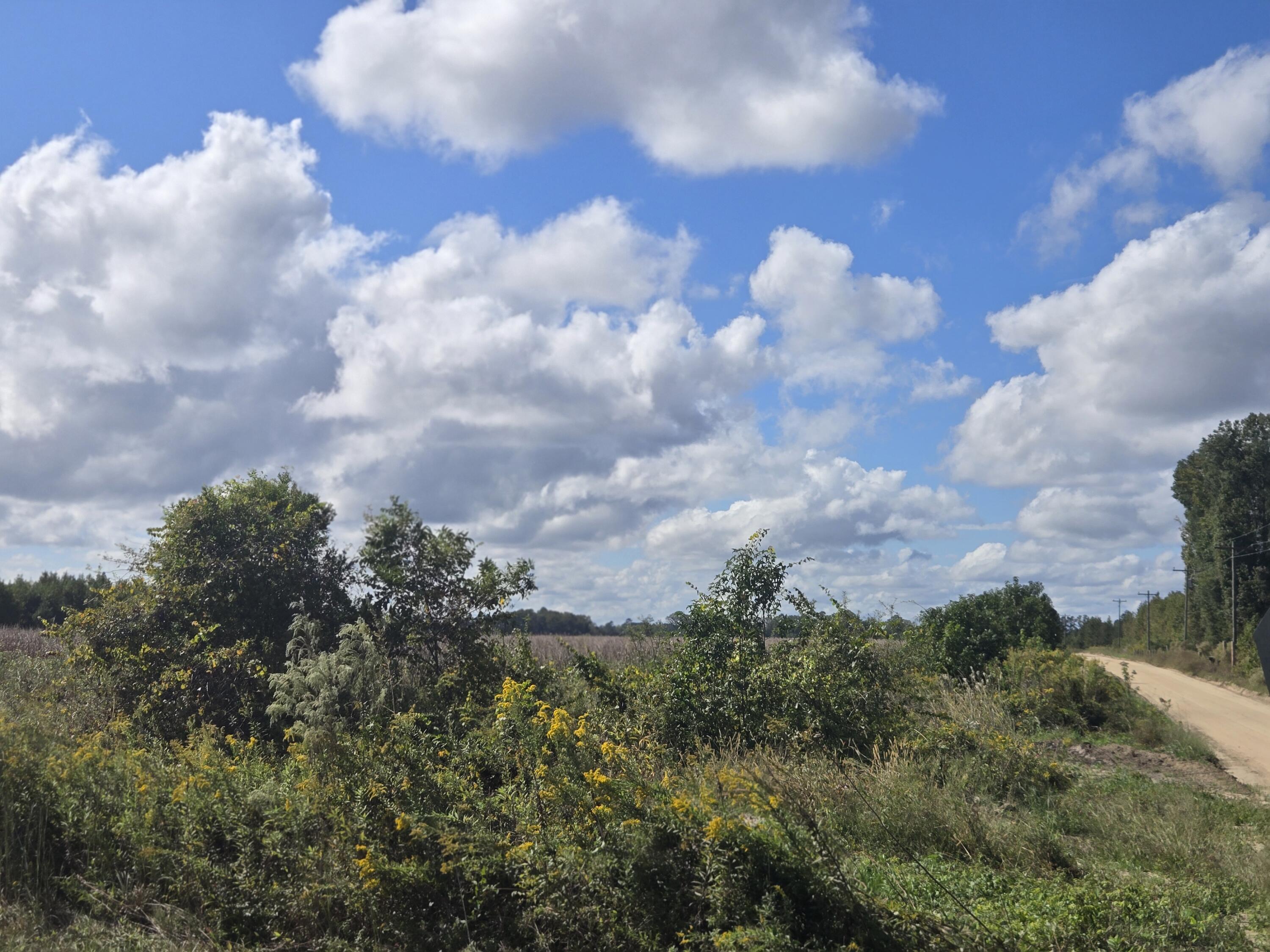 0 Blewer Street Cope, SC 29038 - Photo 15 of 15 20251007_145712