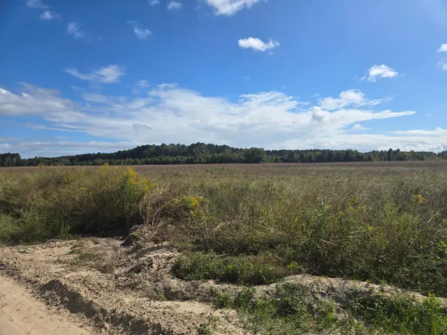 $2,500,000 | 0 Blewer Street, Cope, SC 29038