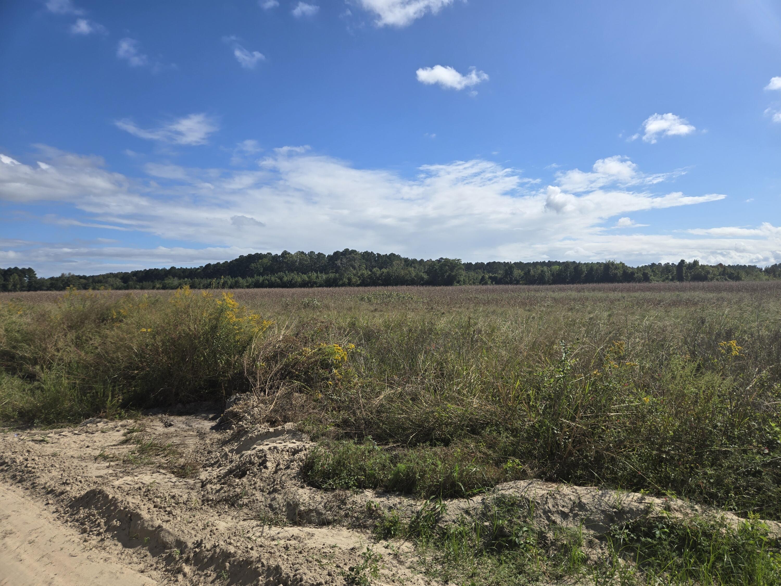 0 Blewer Street Cope, SC 29038 - Photo 2 of 15 20251007_145438