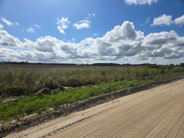 $2,500,000 | 0 Blewer Street, Cope, SC 29038