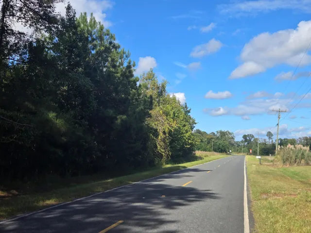 $2,500,000 | 0 Blewer Street, Cope, SC 29038