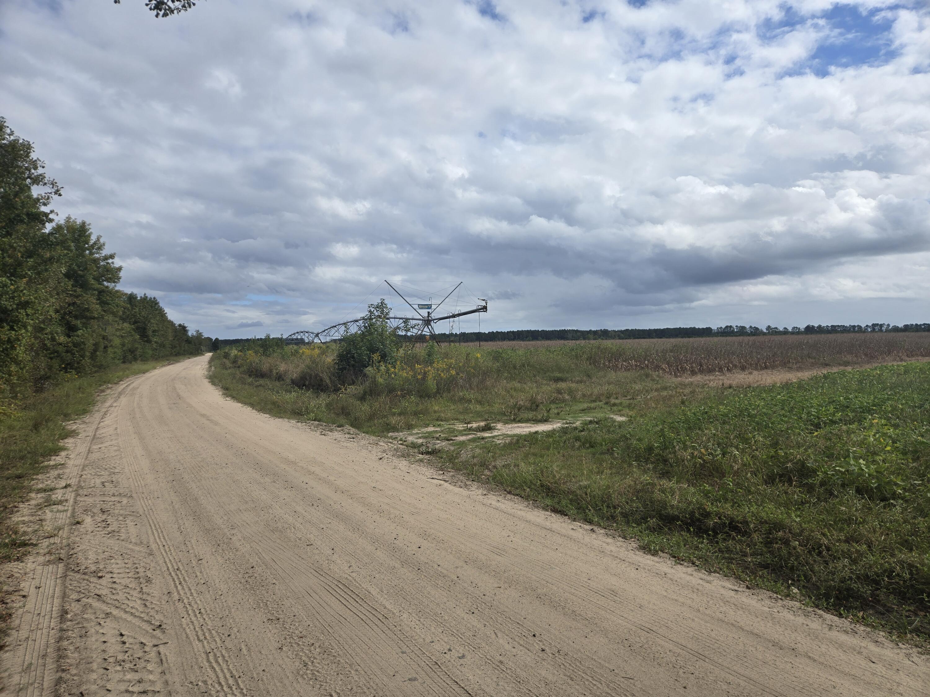 0 Blewer Street Cope, SC 29038 - Photo 5 of 15 20251007_142658
