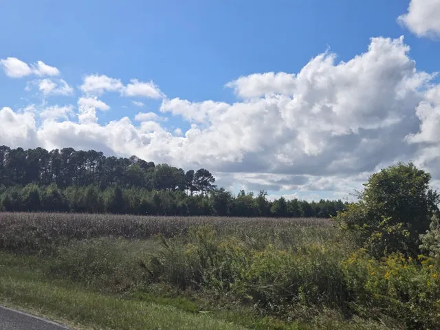 $2,500,000 | 0 Blewer Street, Cope, SC 29038