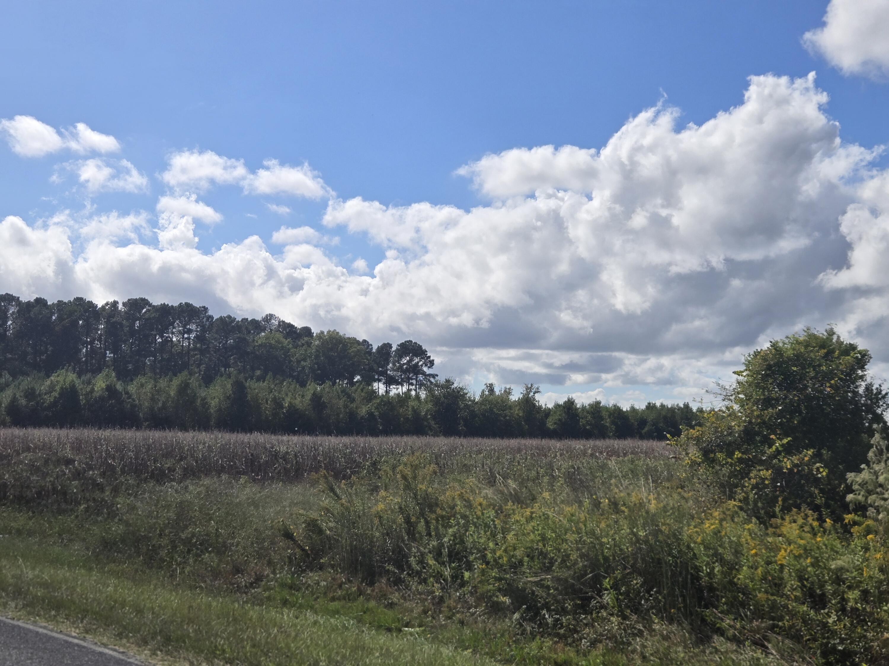 0 Blewer Street Cope, SC 29038 - Photo 6 of 15 20251007_145715