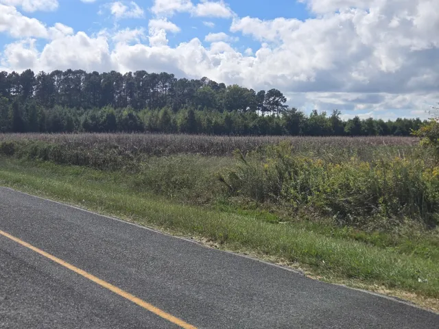 $2,500,000 | 0 Blewer Street, Cope, SC 29038