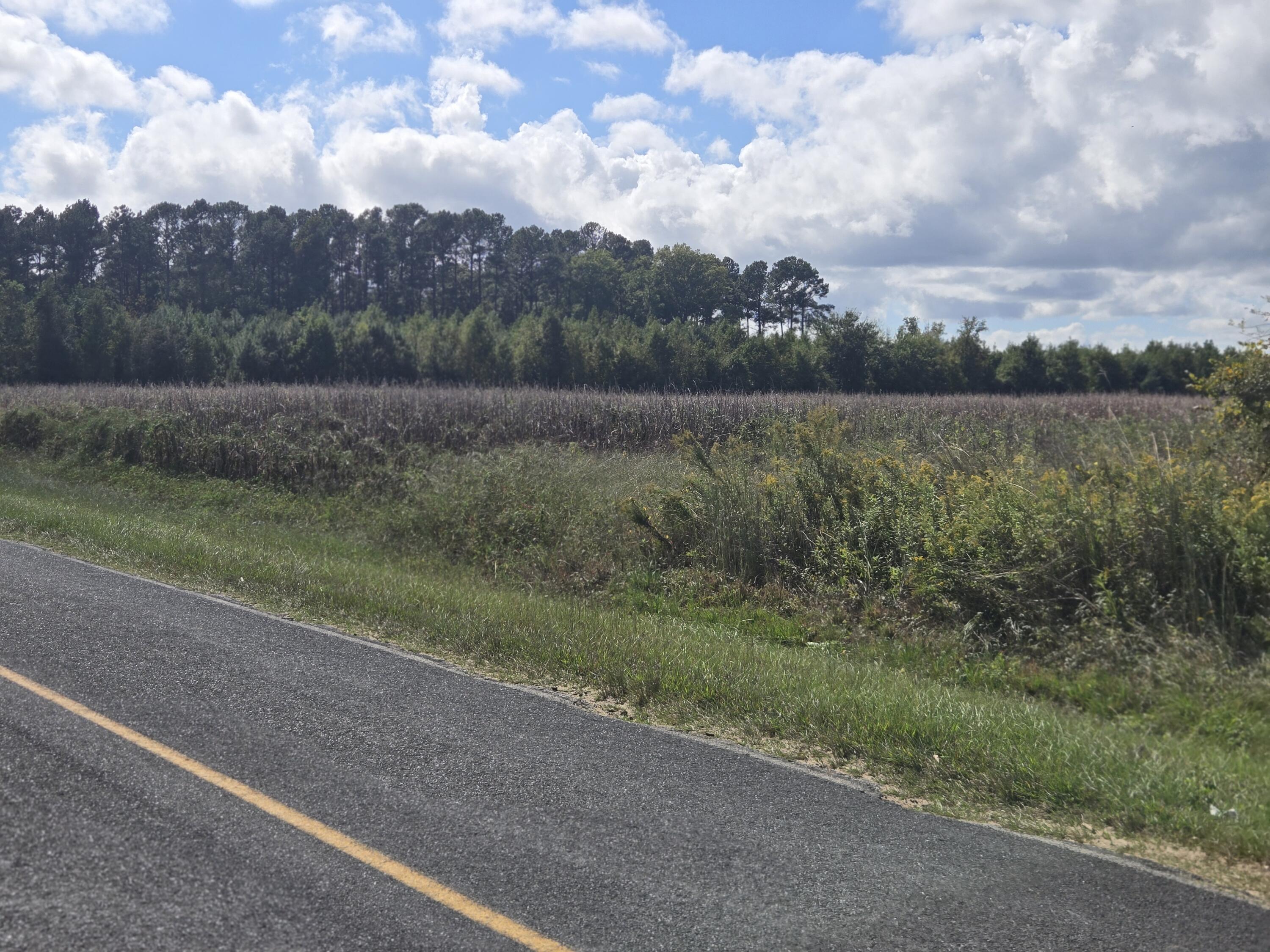 0 Blewer Street Cope, SC 29038 - Photo 7 of 15 20251007_145717