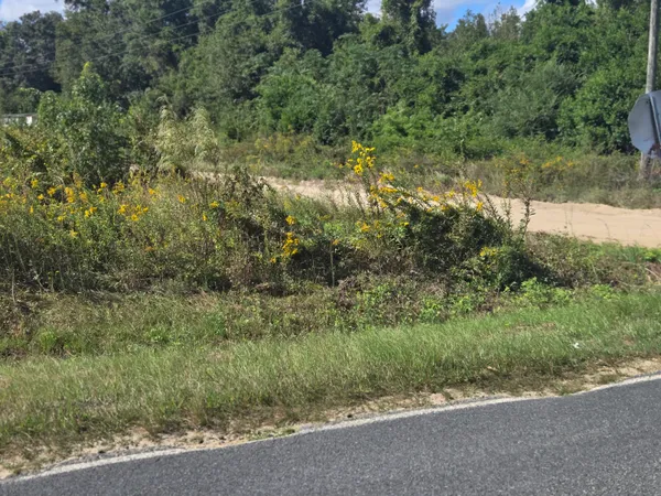 $2,500,000 | 0 Blewer Street, Cope, SC 29038
