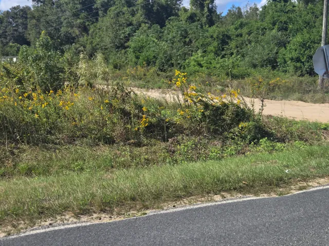 $2,500,000 | 0 Blewer Street, Cope, SC 29038