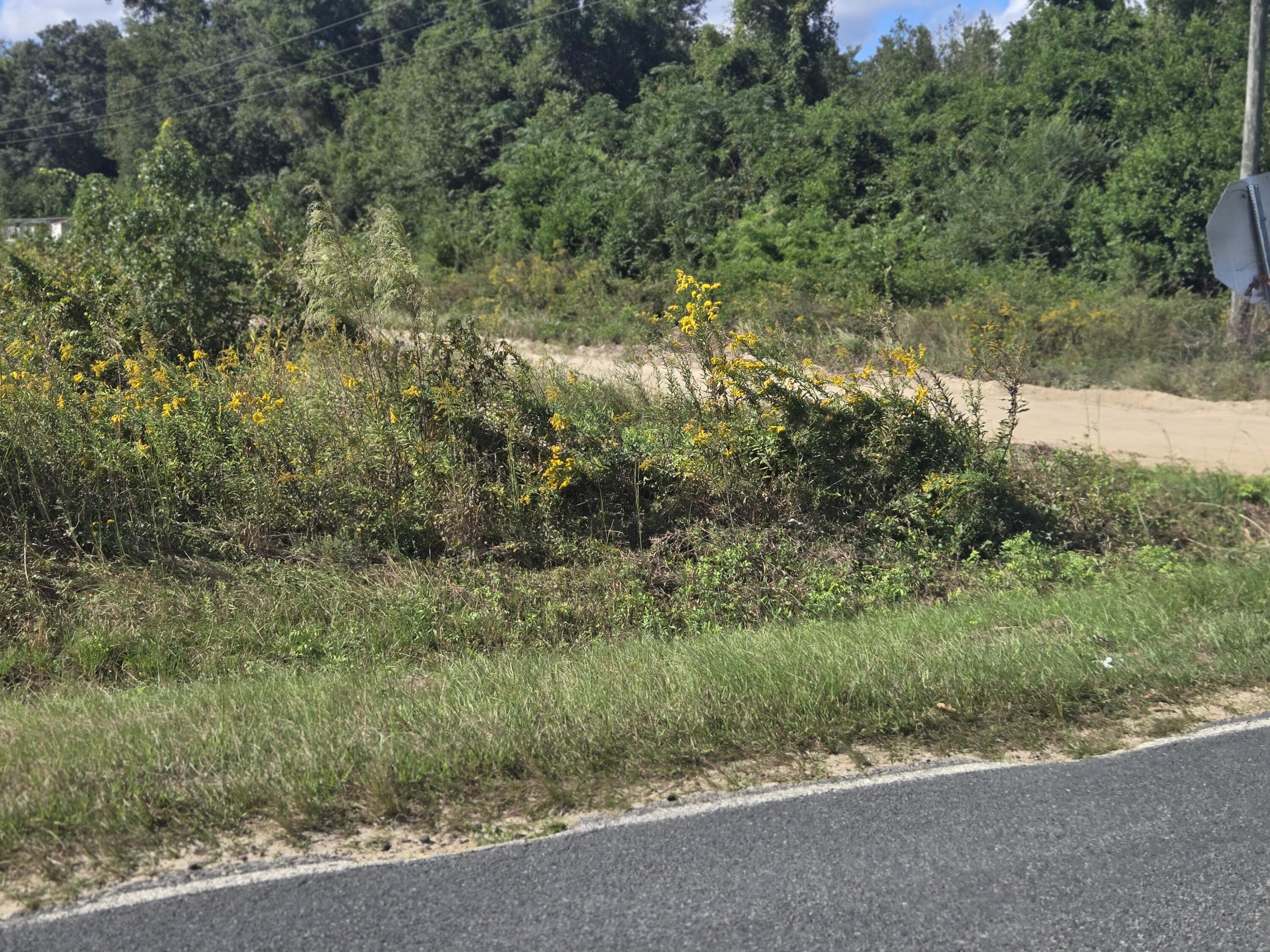 0 Blewer Street Cope, SC 29038 - Photo 8 of 15 20251007_145733