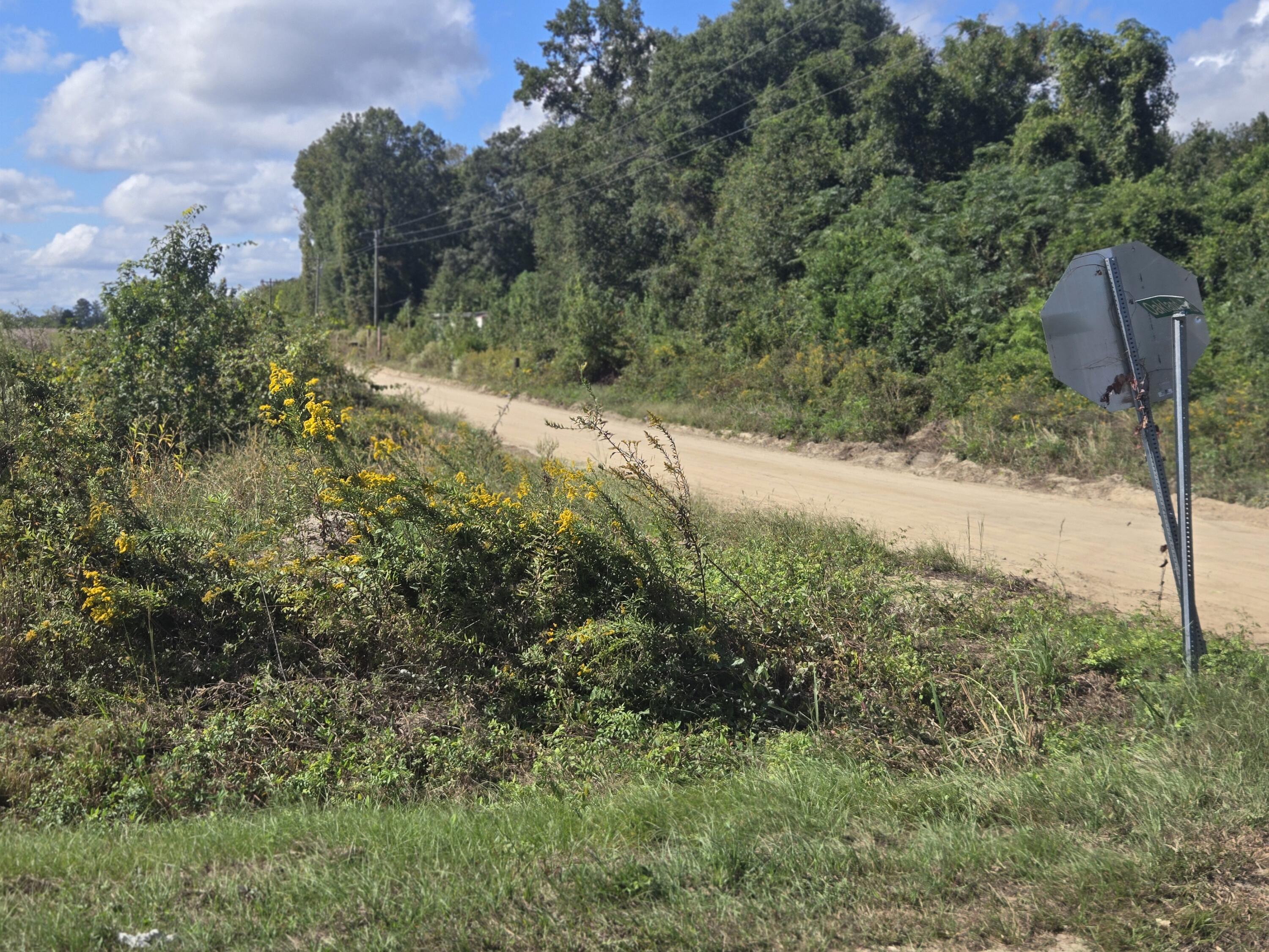 0 Blewer Street Cope, SC 29038 - Photo 9 of 15 20251007_145743