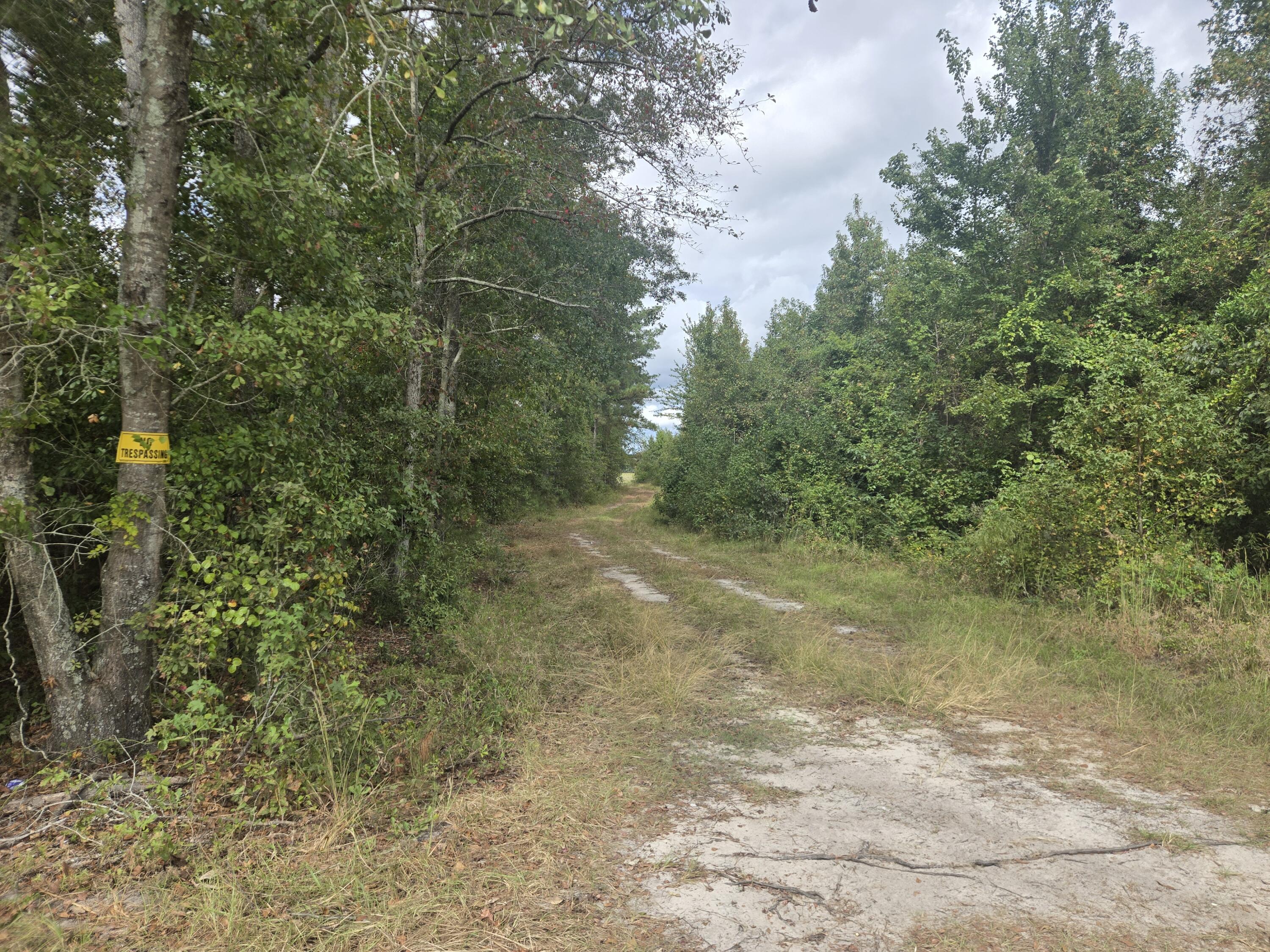 0 Blewer Street Cope, SC 29038 - Photo 10 of 15 20251007_142756