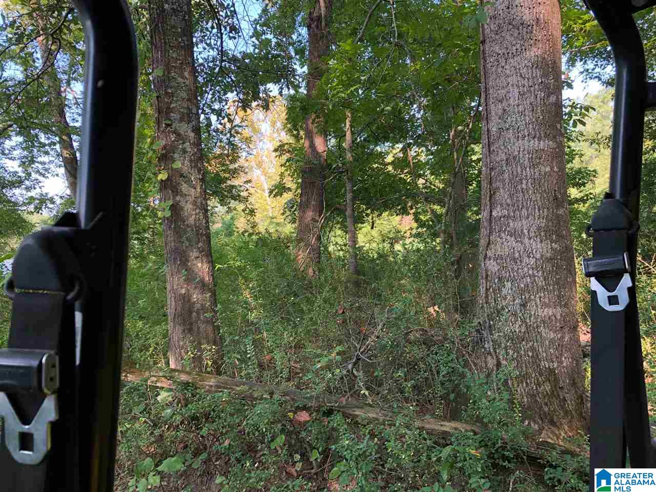 0 Brooks Road Ragland, AL 35131 - Photo 18 of 49