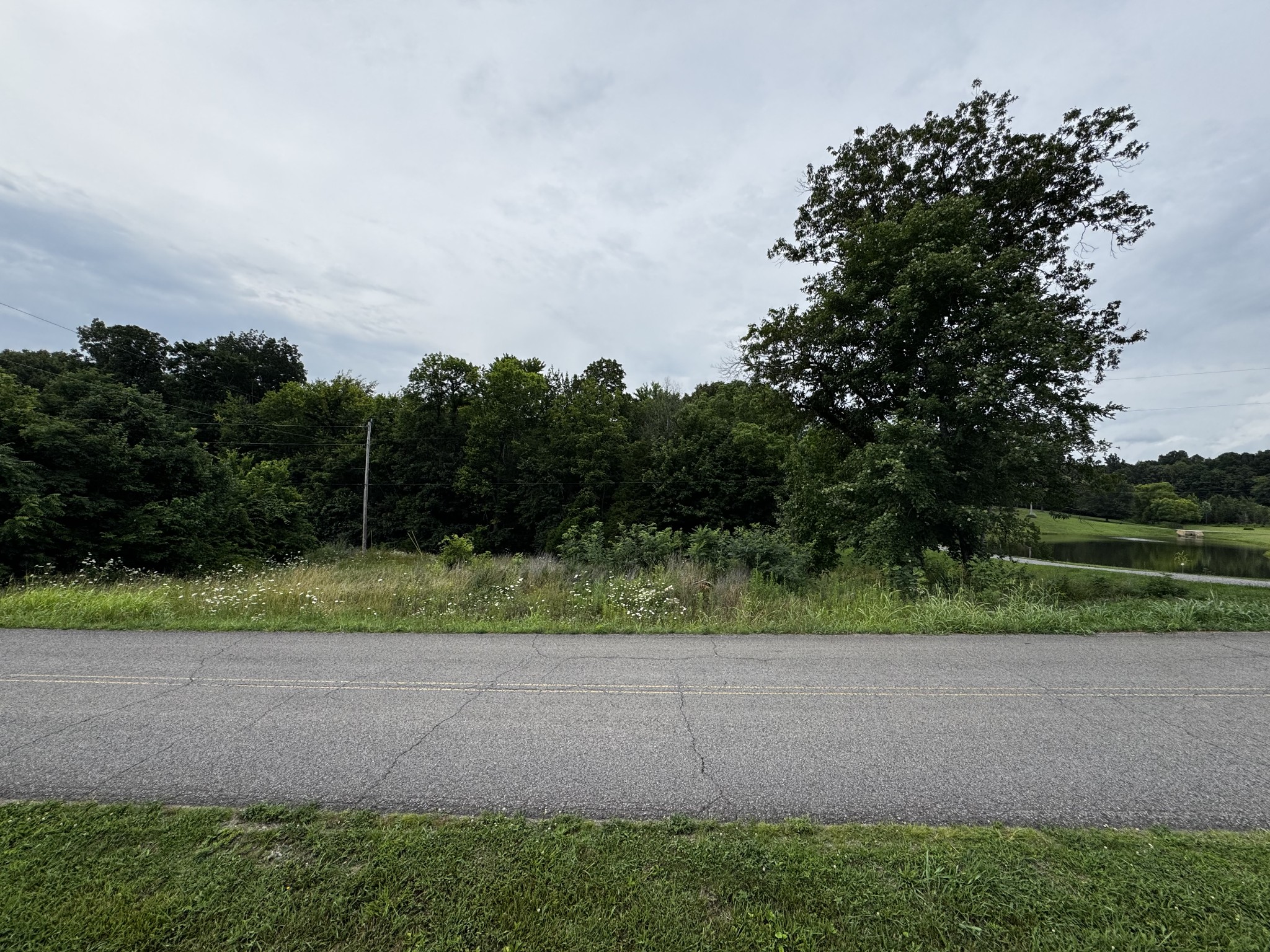 0 Campbell Road Cross Plains, TN 37049 - Photo 2 of 8