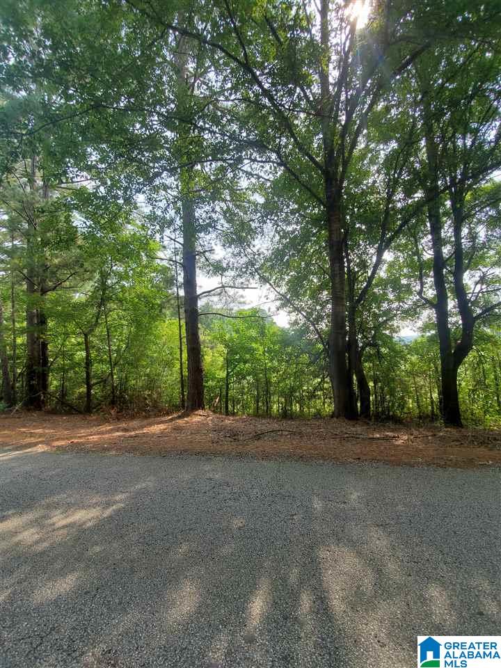 0 Marble Valley Road, Unit 1 Sylacauga, AL 35151 - Photo 2 of 2