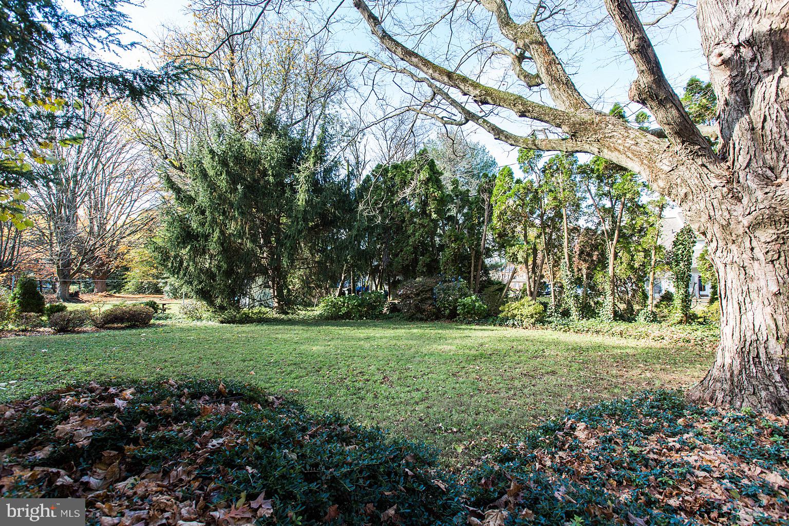 41 Hess Boulevard Lancaster, PA 17601 - Photo 54 of 63 a big yard with lots of green space and trees