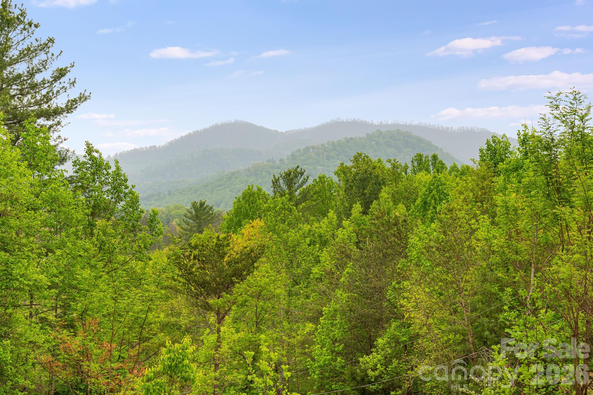 90 High Point Road Weaverville, NC 28787 - Photo 5 of 37