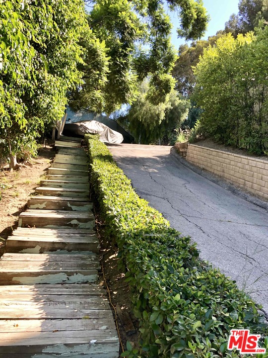 960 North Tigertail Road Los Angeles, CA 90049 - Photo 12 of 13 a view of yard with tree