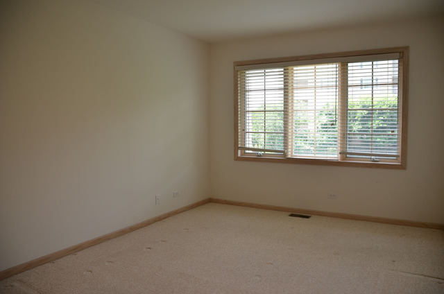 1738 Park Ridge Point, Unit 1738 Park Ridge, IL 60068 - Photo 18 of 25