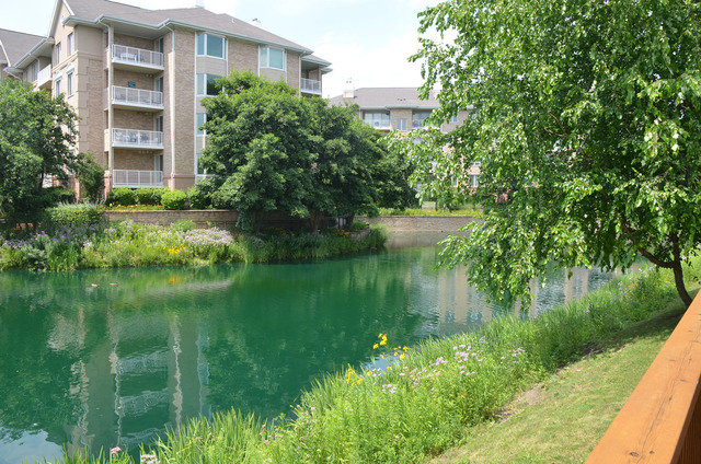 1738 Park Ridge Point, Unit 1738 Park Ridge, IL 60068 - Photo 25 of 25