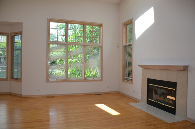 1738 Park Ridge Point, Unit 1738 Park Ridge, IL 60068 - Photo 5 of 25