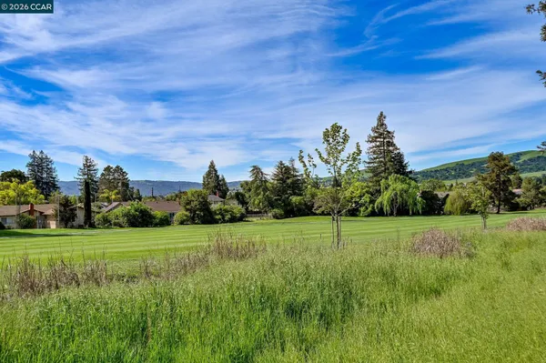 a view of a grassy field with trees in the background