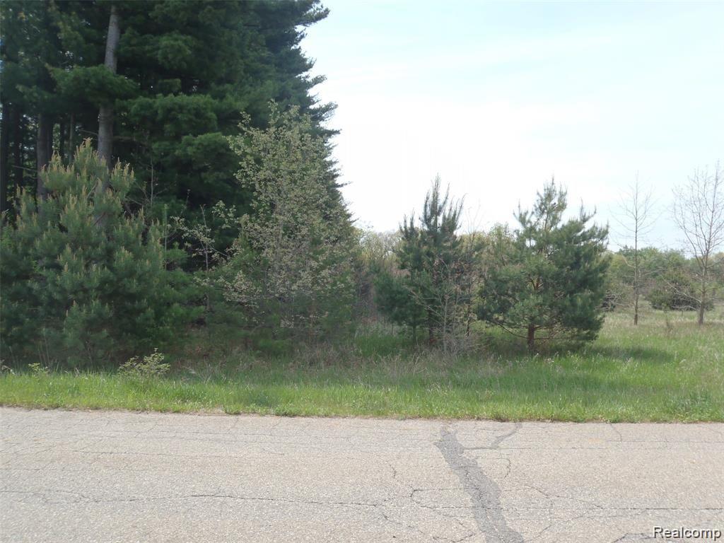 47 Bryde Drive Rives Junction, MI 49277 - Photo 3 of 8