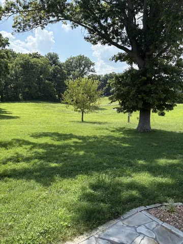 a view of a garden with a pathway