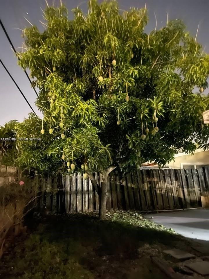 1640 Northeast 33rd Street Pompano Beach, FL 33064 - Photo 8 of 8 a view of backyard with green space