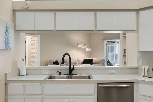 a kitchen with a sink and a potted plant