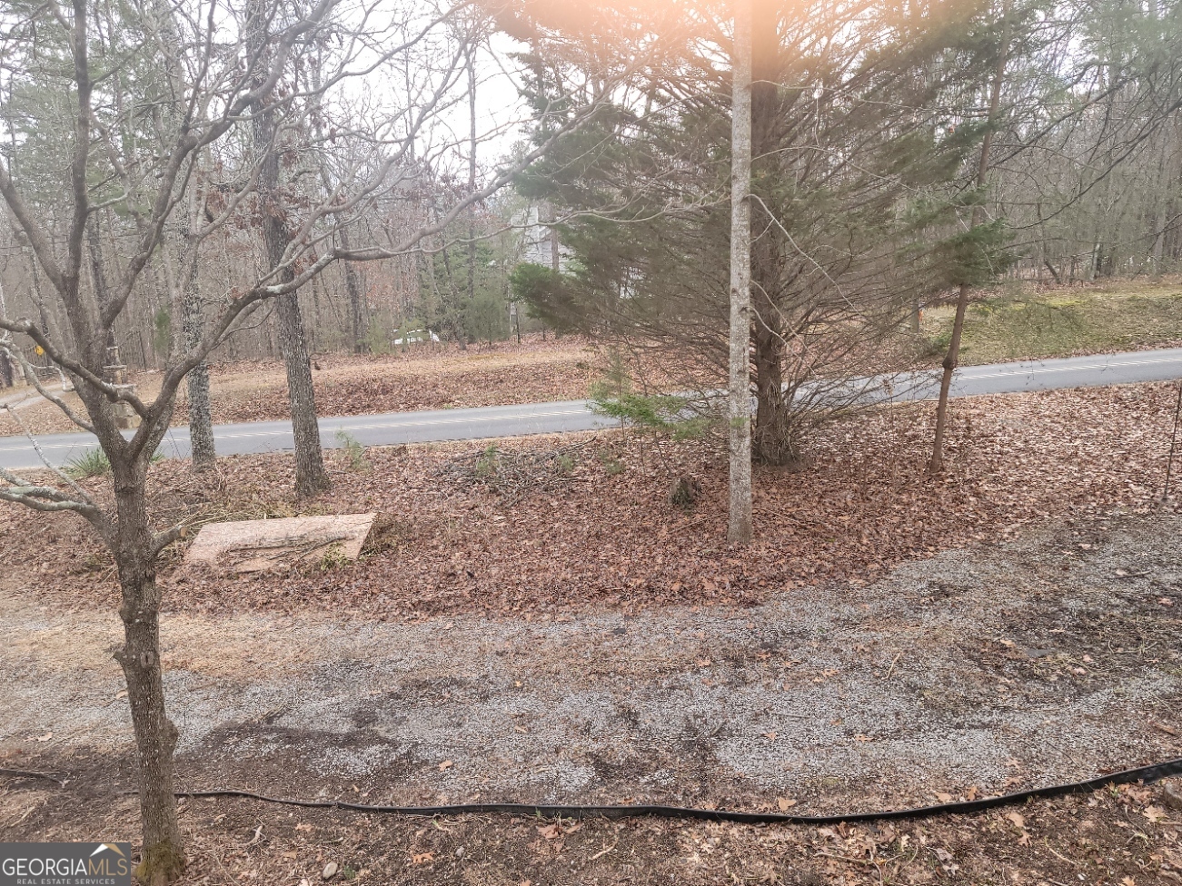 268 Atlanta Avenue Menlo, GA 30731 - Photo 17 of 32