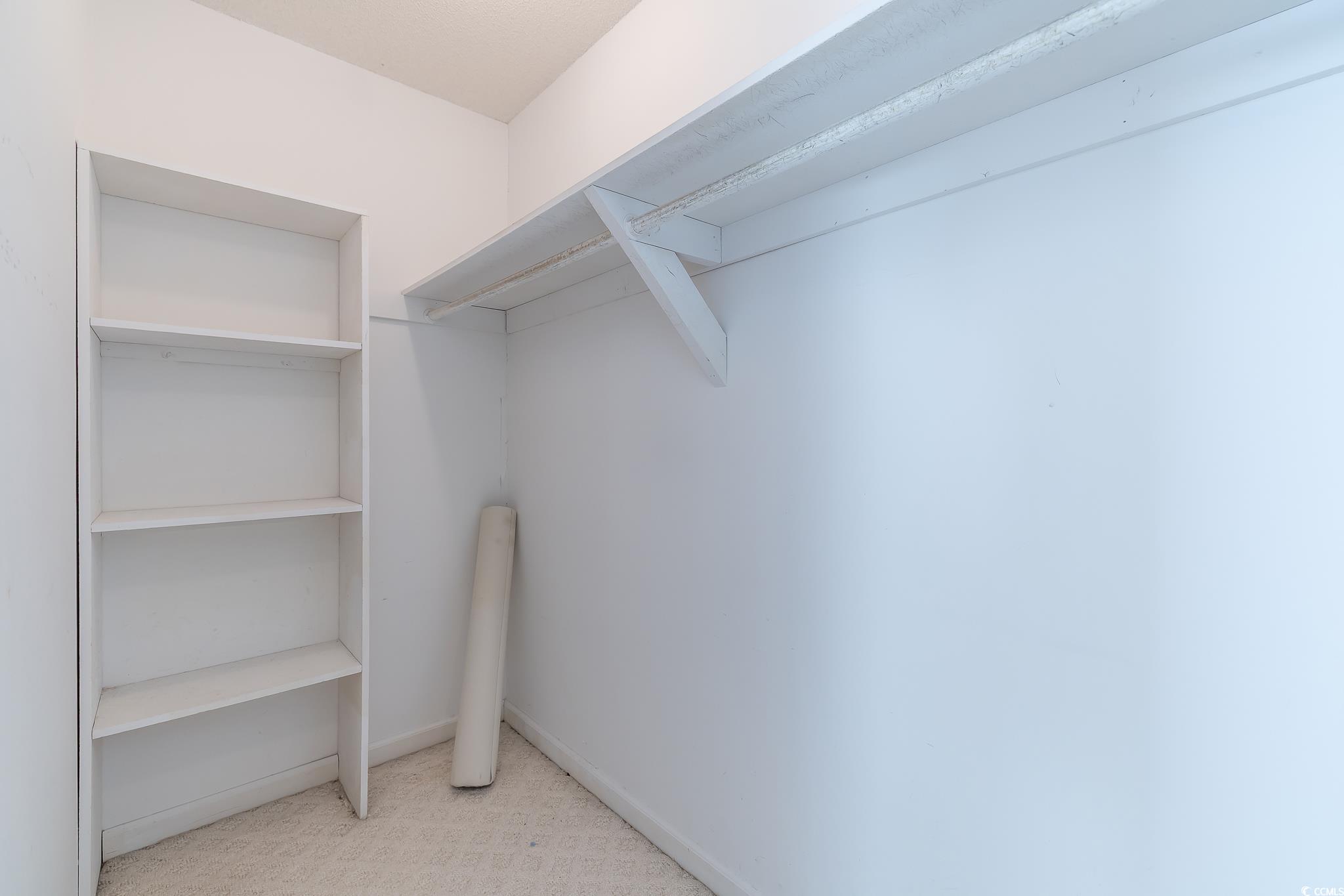 43 Pheasant Loop, Unit 302 Georgetown, SC 29440 - Photo 24 of 38 View of walk in closet