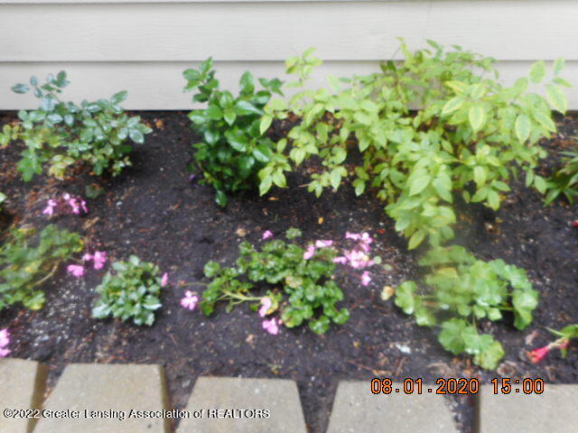 346 Stoner Road Lansing, MI 48917 - Photo 35 of 42 DSCN1042
